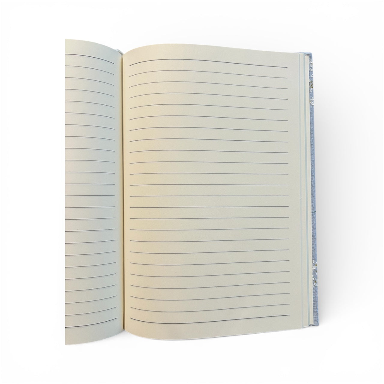 Journaling set - matte blue